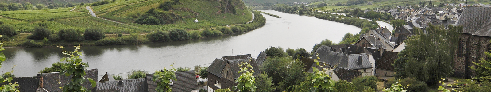 Die Mosel mit einem Dorf im Vordergrund ©Feuerbach